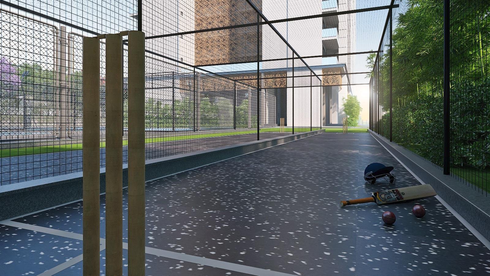 Cricket Practice Nets